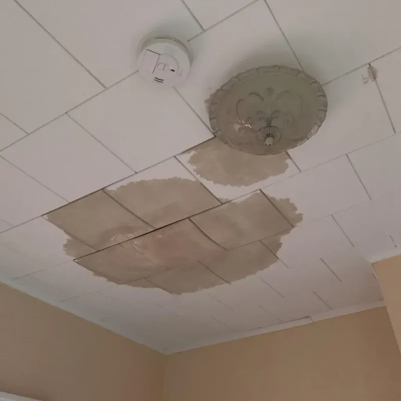 Ceiling Water Damage Repair in Wilmington Manor, DE