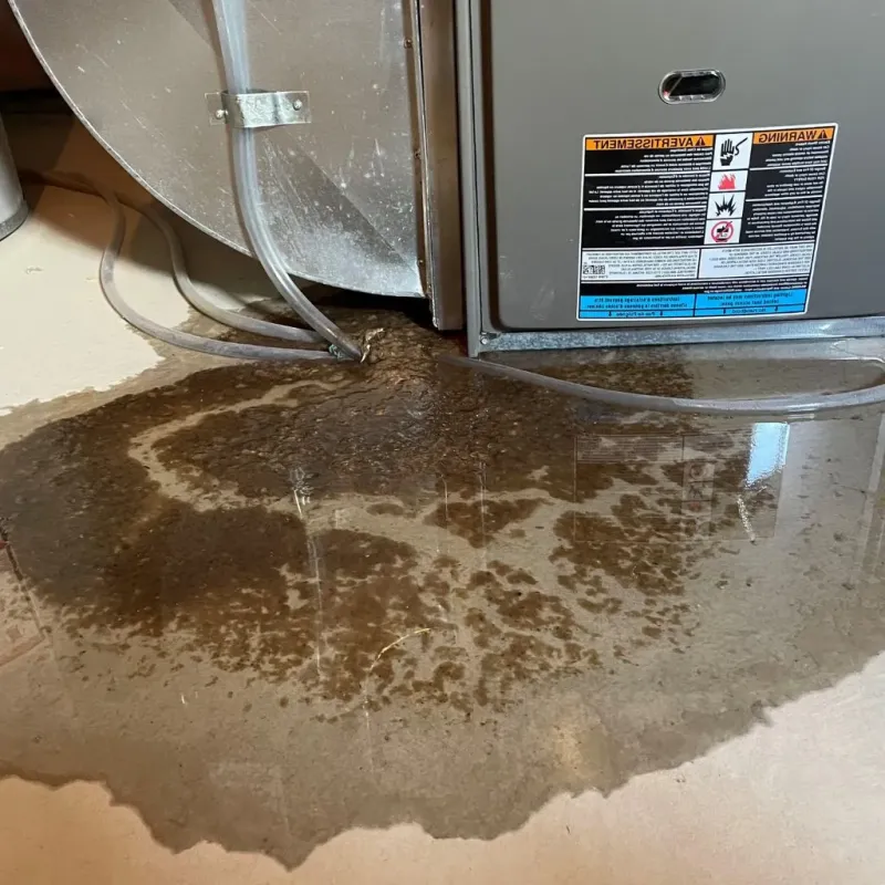 Pipe Burst and Leak Restoration in Wilmington Manor, DE